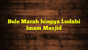 Bule Marah hingga Ludahi Imam Masjid