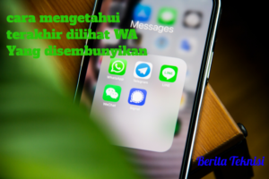 Cara Melihat Terakhir Dilihat WA yang Disembunyikan Cara Melihat Terakhir Dilihat WA yang Disembunyikan